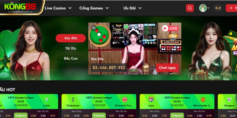 Tổng quát cơ bản về quyền và nghĩa vụ của người chơi